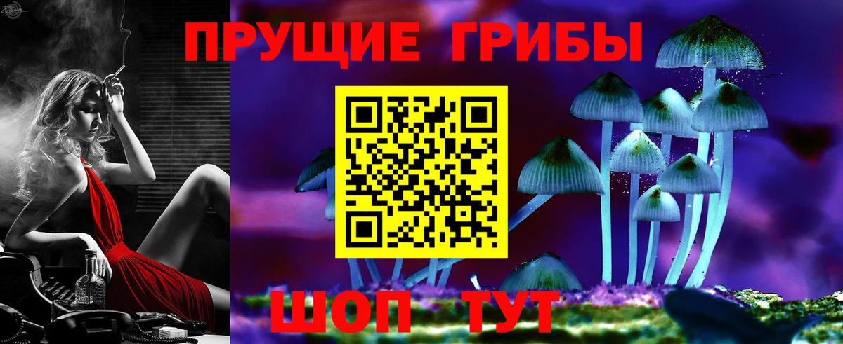 Галлюциногенные грибы прущие грибы  Вход с VPN  Звенигород  Псилоцибиновые грибы мухоморы 