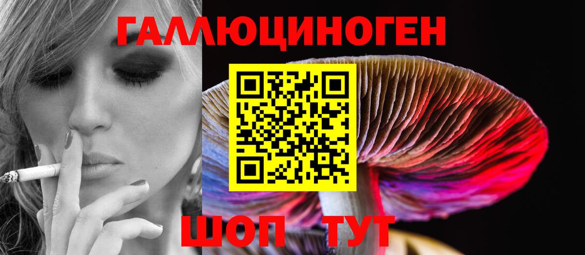 Псилоцибиновые грибы Psilocybine cubensis Звенигород