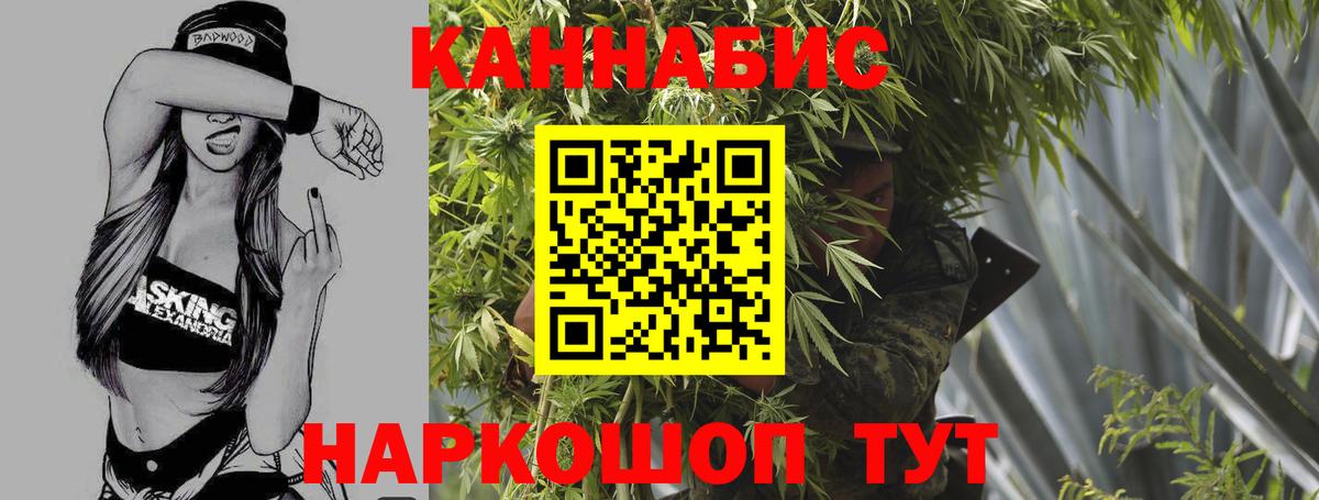 Бошки Шишки планчик Звенигород